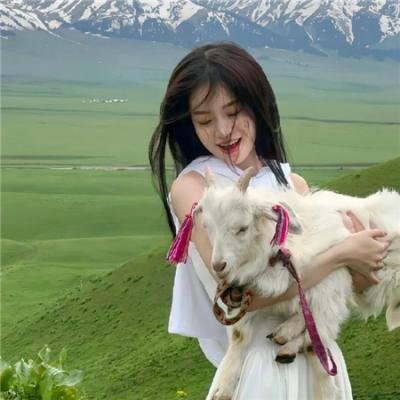 狐狸的故事